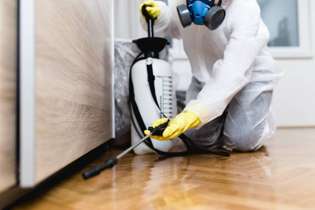 Best Emergency Pest Control  in St Louis Park, MN