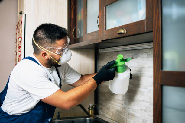 Best Affordable Pest Control Services  in St Louis Park, MN