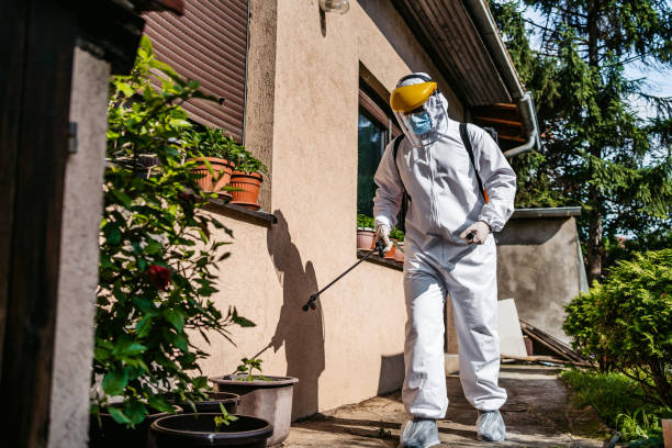 Trusted St Louis Park, MN Pest Control Experts