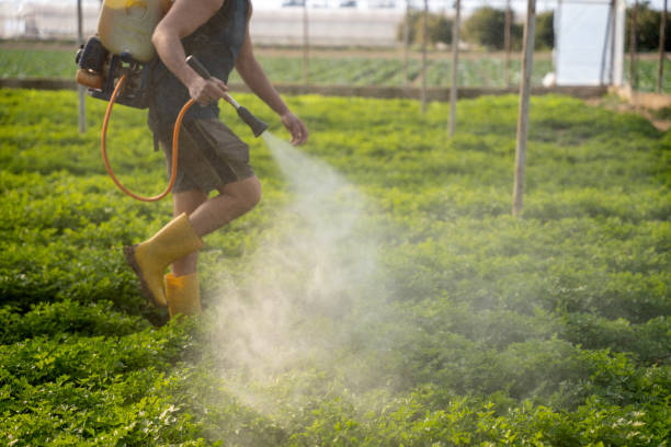 Reliable St Louis Park, MN Pest Control Solutions