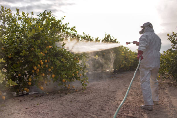 Wildlife Control Services in St Louis Park, MN