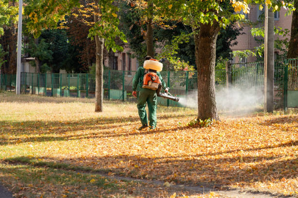 Best Commercial Pest Control Services  in St Louis Park, MN