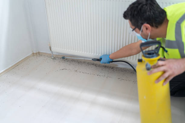 Best Pest Control Near Me  in St Louis Park, MN