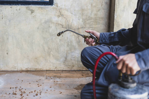 Best Pest Inspection Near Me  in St Louis Park, MN